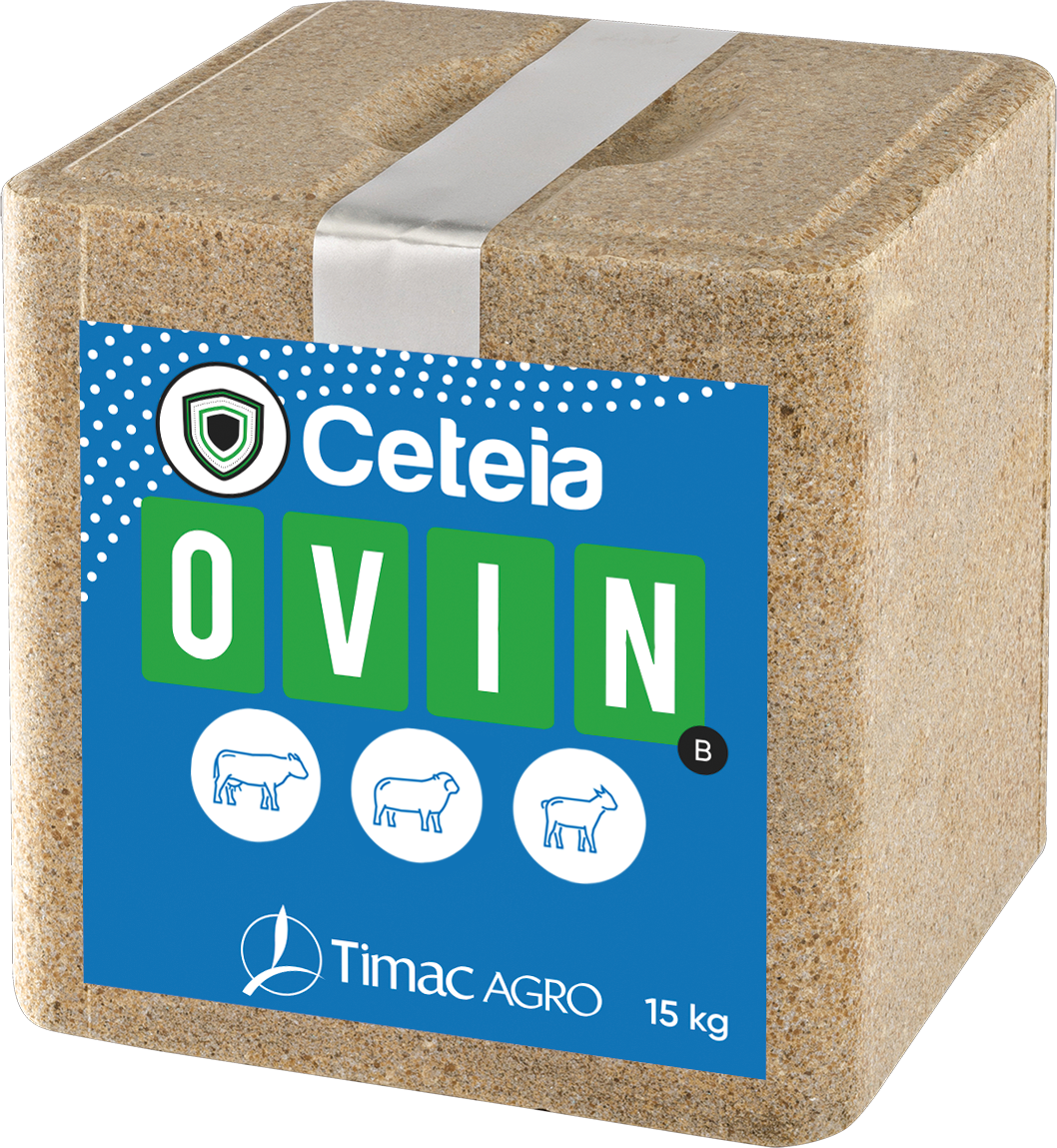 CETEIA OVIN B