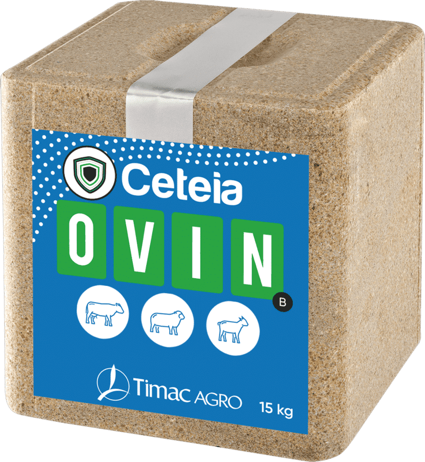 CETEIA OVIN B