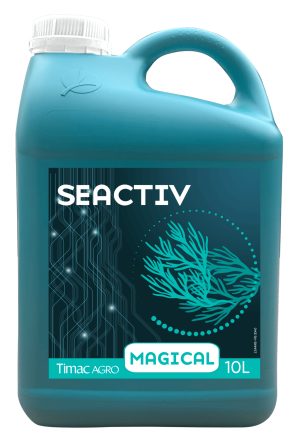 SEACTIV MAGICAL